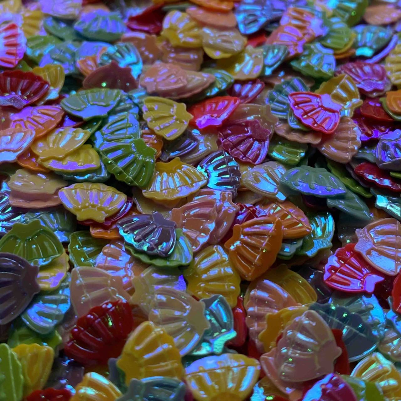 Rainbow Shells, Paper Charm